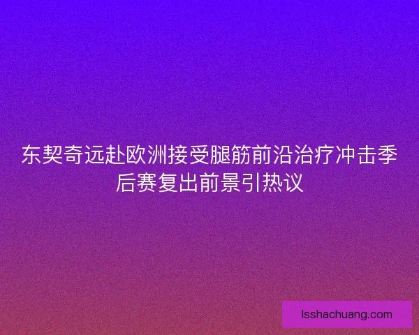 东契奇远赴欧洲接受腿筋前沿治疗冲击季后赛复出前景引热议